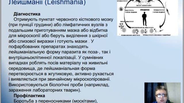 біологія-л7-1 - паразитологія, найпростіші смотреть онлайн