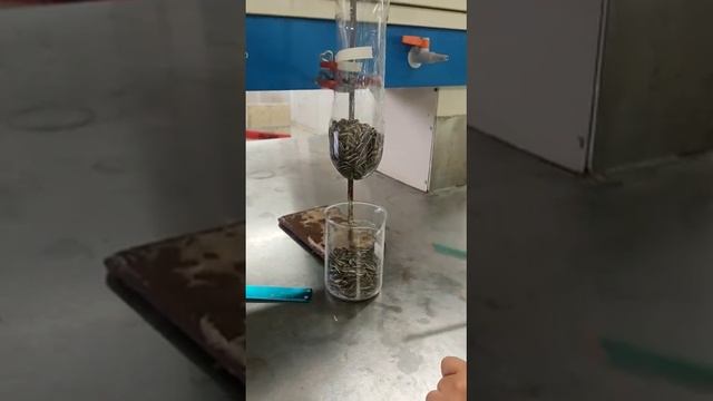 Práctica 4 - Semilla de girasol смотреть онлайн