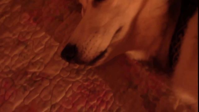 1120.США.СВЕРШИЛОСЬ !! КУПАЛЬНЫЙ СЕЗОН ОТКРЫТ !! Lyubov Reed смотреть онлайн