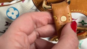 Обзор винтажной сумки Louis Vuitton Claudia Multicolor