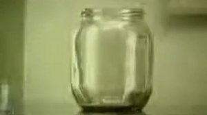 Блохи в банке (эксперимент)