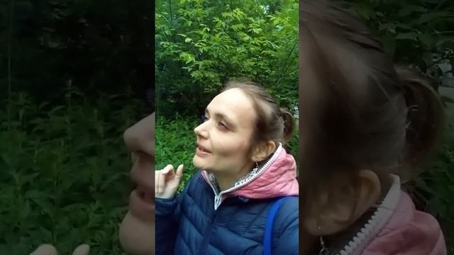 с неба капают слезы, слёзы ночного дождя. Олеся Троянская #прогулка #вечер #песня