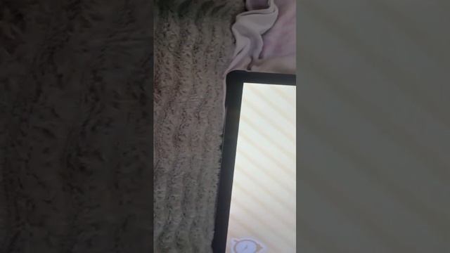 тока бока смотреть онлайн