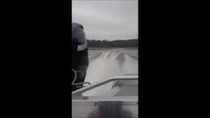 Linder 460 with Mercury 60