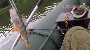 Рыбалка на Мокше в июле не клюёт