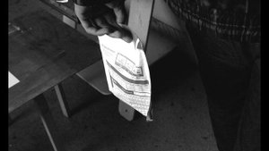 Дельфин - Молоко