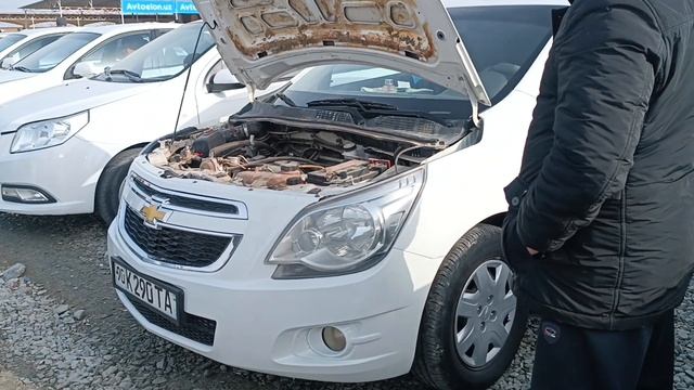 КОБАЛЬТ НАРХЛАРИ ХОРАЗМ МОШИНА БОЗОРИ 🔥 17-МАРТ 2024 смотреть онлайн