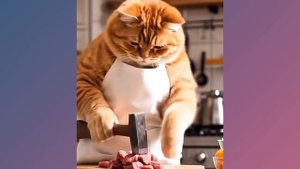 Самые смешные кошки.