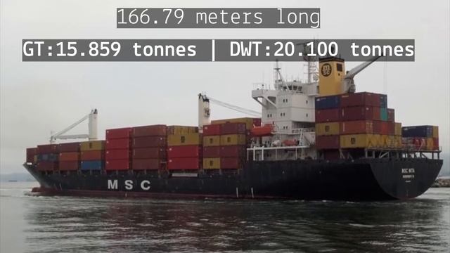 Container Ship| MSC Nita