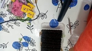 Будем выращивать Пентос