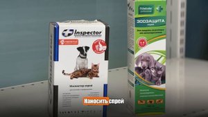 ВИДЫ ЗАЩИТЫ ОТ ИКСОДОВЫХ КЛЕЩЕЙ. Чем защитить собаку от клеща?