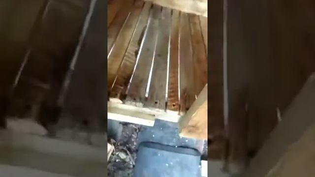 Самая простая клетка для кроликов
