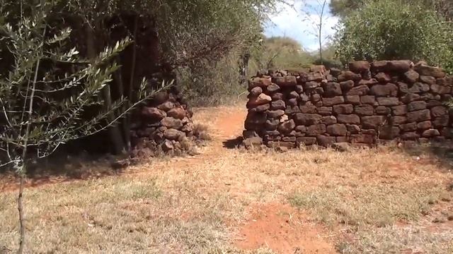 Любите Африку! Kilaguni Serena Lodge 4*.Tsavo Vest. Кения
