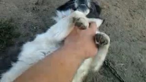Бимка