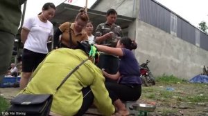 Trieu Mai Huong. Harvesting Snails, Mussels goes to the market to sell | Cook Snail, Mussel porridge