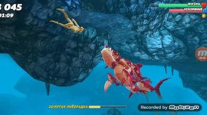 Акула стая хангри шарк ворлд