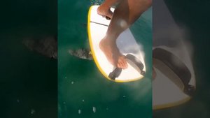 Как делать переступы на гидрофойле.