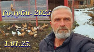 Голуби 2025 в небе