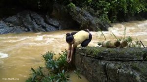 How to Weave Bamboo baskets to trap Fish - Harvest Fish in flood season Goes . Trieu Mai Huong