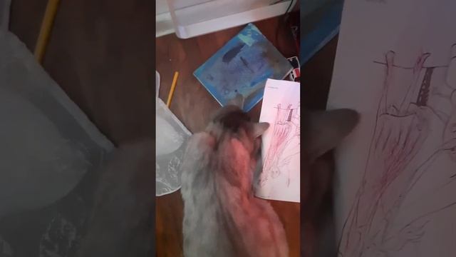 Кот художник🤣 Кот собрался рисовать😊смешные коты))) смотреть онлайн