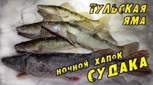 ПОПАЛ на Ночной ХАПОК Судака! Тульская ЯМА! Зимняя рыбалка на Судака! СУДАК НА ВИБЫ зимой 2023