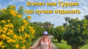 Египет или Турция где лучше отдызать.Принесли халаты--11