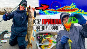 Щука ЗАБИЛАСЬ в залив ПОЗДНЕЙ ОСЕНЬЮ! Ищем с PANOPTIX и КРУПНЫМИ ПРИМАНКАМИ | Лучшее ДР - НА РЫБАЛКЕ
