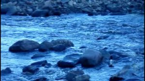 Петрозаводск - Набережная  Онеги - 2009