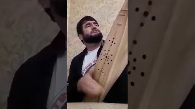 Авар Пандур МухаммадХабиб Гоготль Куяда смотреть онлайн