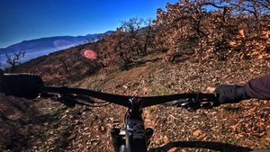 кусок Пастуха / 01.01.05