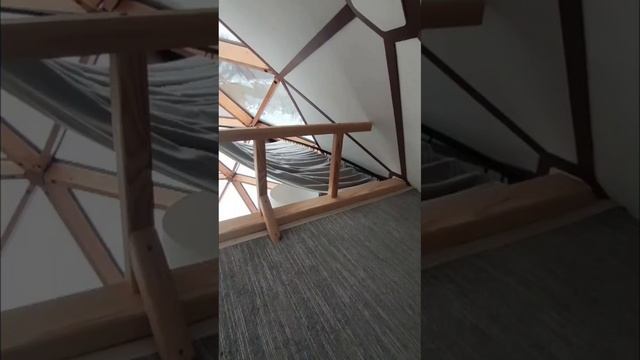 Обзор зеркального купольного дома на Алтае
