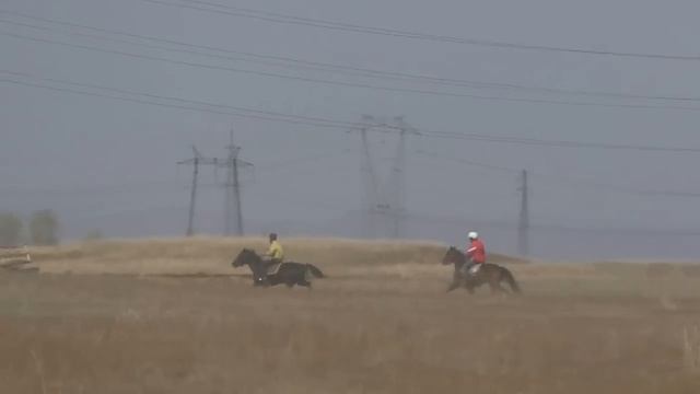 Заезд рысь под седлом.Райков конно-спортивный праздник, посвященный дню победы смотреть онлайн