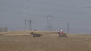 Заезд рысь под седлом.Райков конно-спортивный праздник, посвященный дню победы