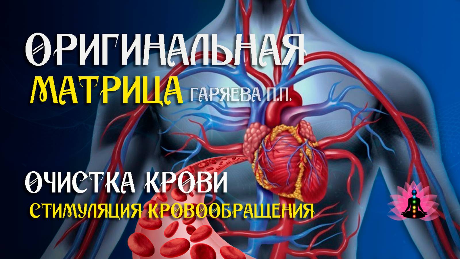 Стимуляция кровообращения» ⚠️ Оригинальная матрица Гаряева П.П. ☀️ SoftRadio ru