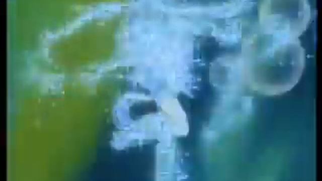 Mercury Transform 1 - English