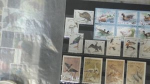 Почтовые Марки -продажа-Птицы(1 часть) 2023г.Филателия,г.Энгельс.