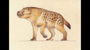 paleopedia: dinocrocuta ( la hiena terrible)