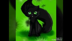 Коты воители| История Остролистой| Истории Остролистой