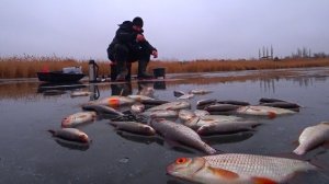 Зимняя рыбалка на Плотву и Щуку🔥