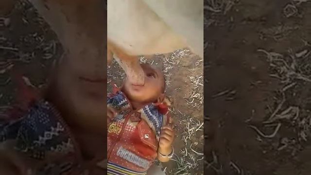 В Индии всё можно ожидать смотреть онлайн