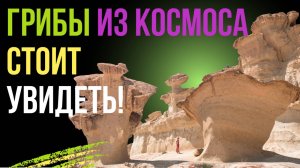 ШОКИРУЮЩАЯ правда о космических грибах МУРСИИ!