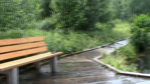 Источник Параскевы Пятницкой shorts