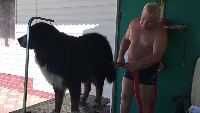 Вольск лето 2018 смотреть онлайн