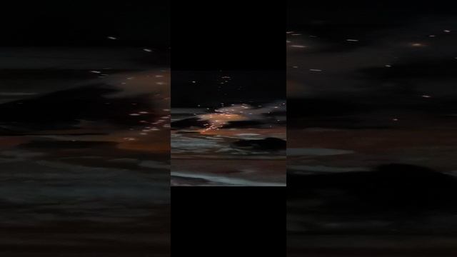 Собака любитель салютов