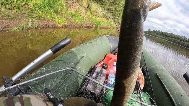 🎣СКОЛЬКО🎣#сезонконтентаRUTUBE