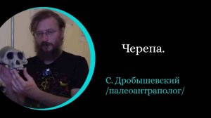 Черепа. /С. Дробышевский/