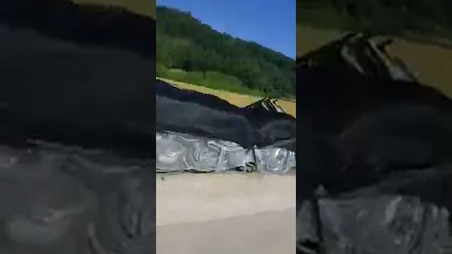 Дыня , работа у южной корее смотреть онлайн