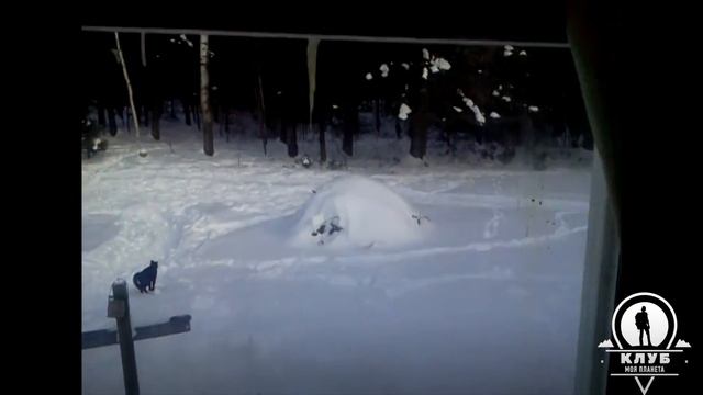 Поймай меня, если сможешь смотреть онлайн