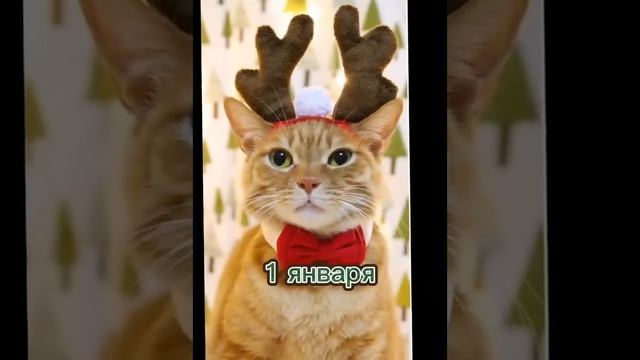 С наступившим Новым годом вас