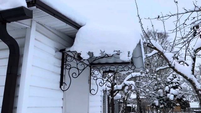 ЭСТОНИЯ✅КАКОЙ ВЫБОР ✅МЯСА и РЫБЫ ✅ХОЛОДЕЦ